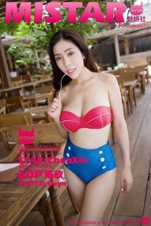 陈欣普吉岛旅拍黑丝透视装现迷人豪乳性感写真